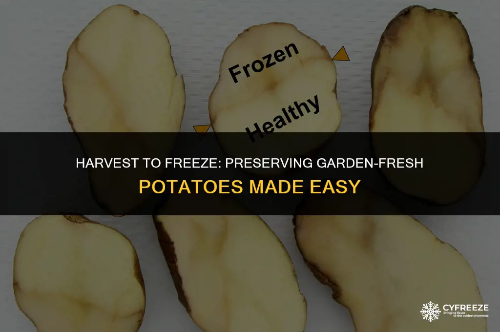can you freez whole potatoes fresh from the garden