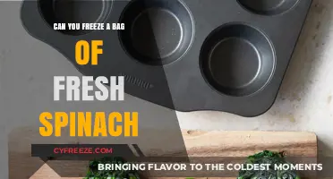 Spinach Storage Simplified: Can You Freeze Fresh Spinach?