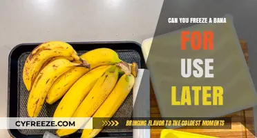 Freezing Bananas: A Handy Guide for Long-Term Storage and Use