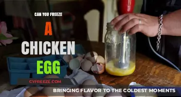 The Surprising Truth About Freezing Chicken Eggs: A Complete Guide