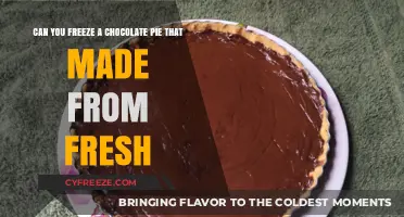 Freshly Made Chocolate Pie: A Guide to Freezing and Preserving