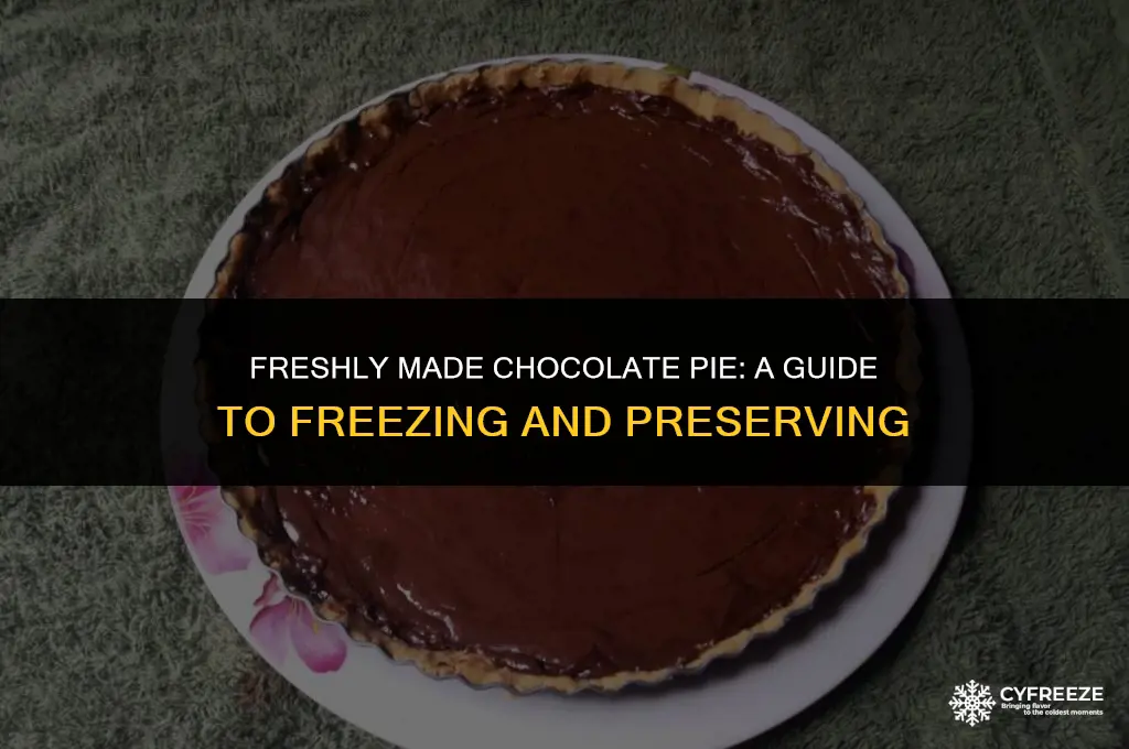 can you freeze a chocolate pie that made from fresh