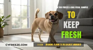 Preserving Canine Health: The Do's and Don'ts of Freezing Dog Fecal Samples