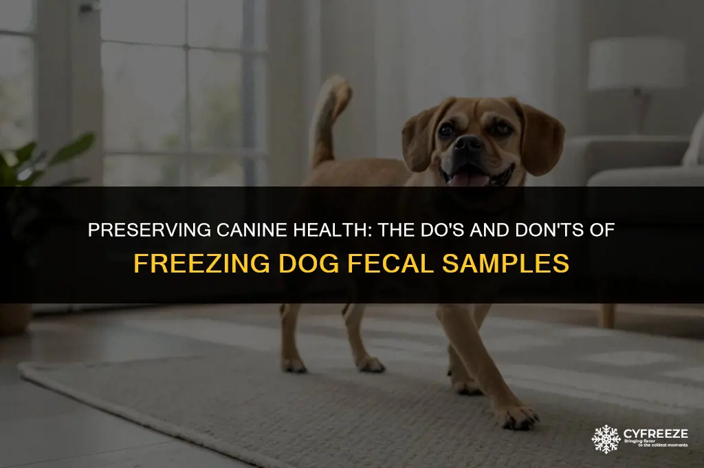 can you freeze a dog fecal sample to keep fresh