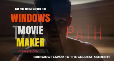 Mastering Movie Maker: The Art of Freezing Frames