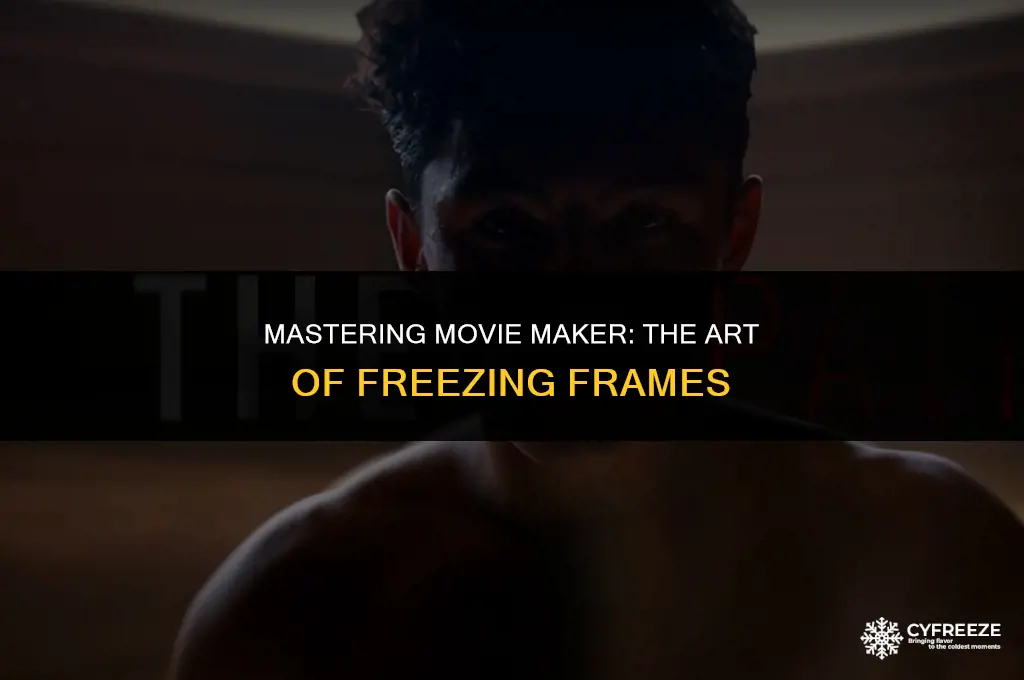 can you freeze a frame in windows movie maker