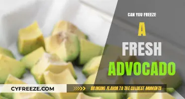 Fresh Avocado Freezing: A Simple Guide to Preserve Your Favorite Fruit