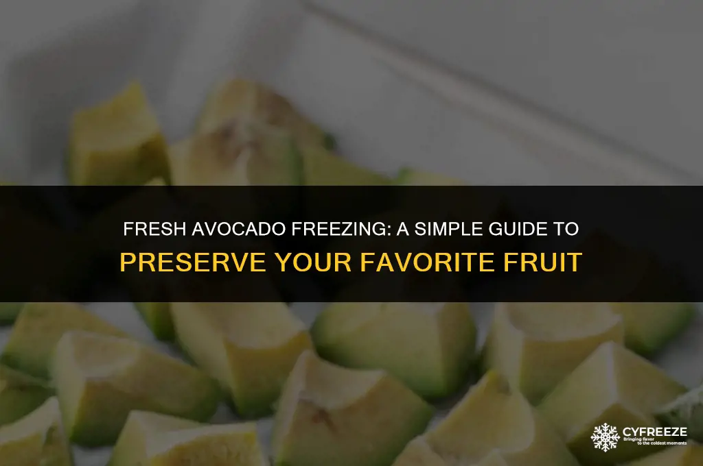 can you freeze a fresh advocado