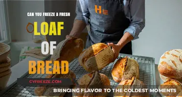 From Oven to Freezer: The Fresh Bread Storage Guide