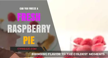 From Oven to Freezer: Preserving the Freshness of Raspberry Pie