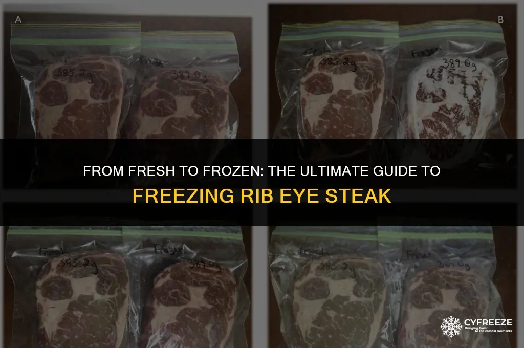 can you freeze a fresh rib eye steak