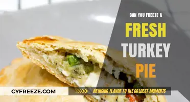 From Fresh to Frozen: The Ultimate Guide to Turkey Pie Preservation