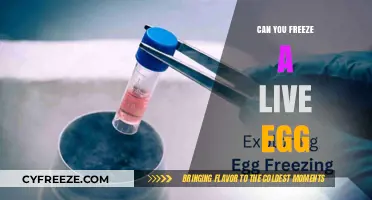 Can You Freeze a Live Egg? Facts and Myths Explained