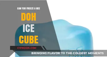 Chill Your Nee Doh: The Surprising Truth About Freezing Ice Cubes
