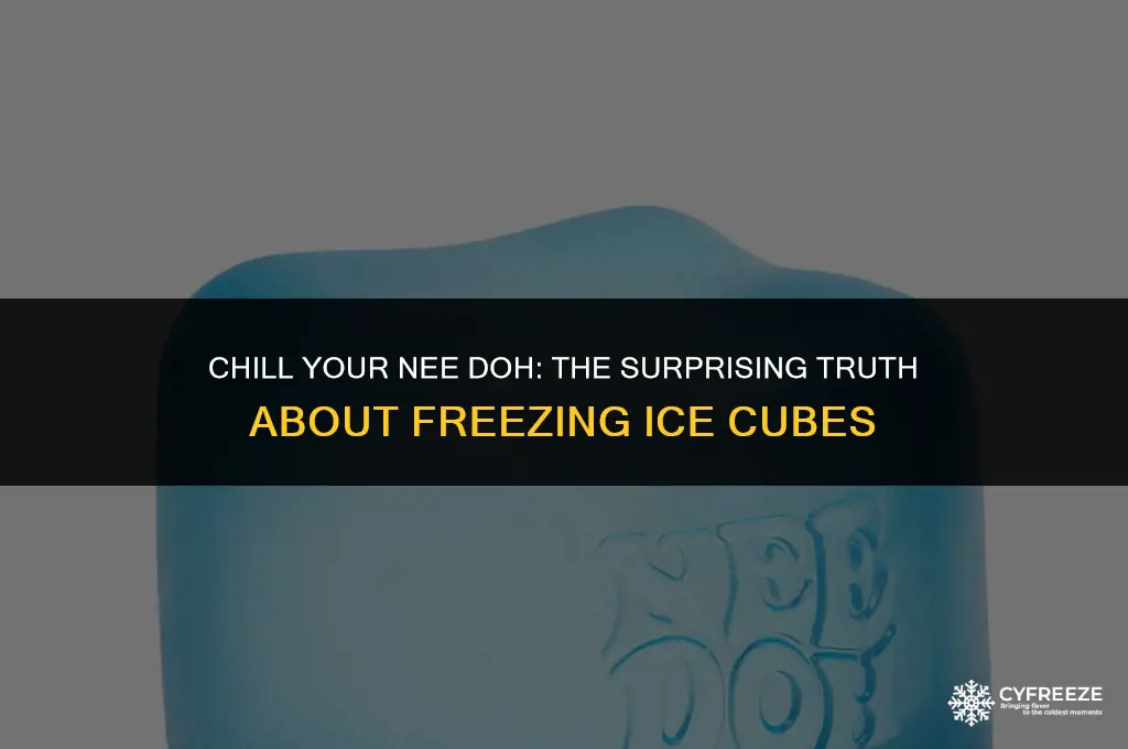 can you freeze a nee doh ice cube