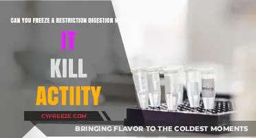Preserving Restriction Digest Activity: The Freezing Debate