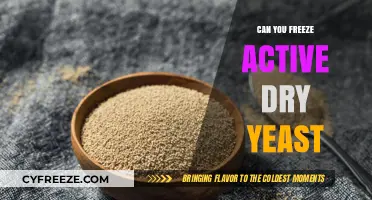 The Surprising Truth About Freezing Active Dry Yeast
