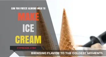 From Freezer to Delight: Crafting Ice Cream with Almond Milk