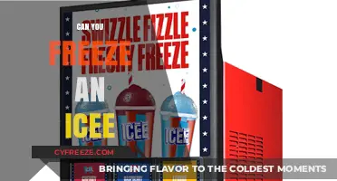 Chill Your Summer: The Ultimate Guide to Freezing Icees
