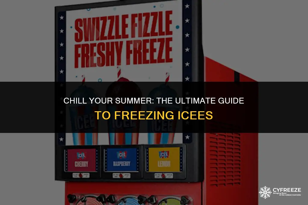 can you freeze an icee