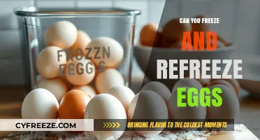 Freezing and Refreezing Eggs: Safety Tips and Best Practices