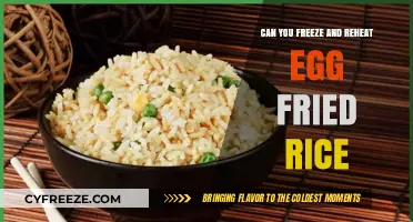 Freezing and Reheating Egg Fried Rice: Tips for Perfect Results