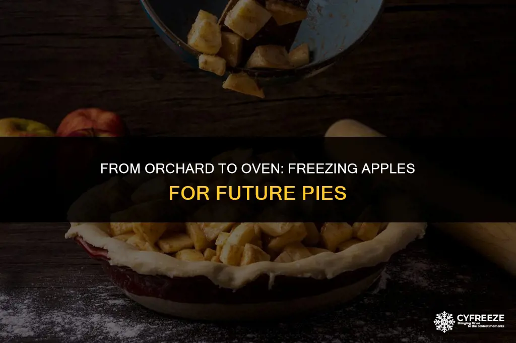 can you freeze apples to make pie later