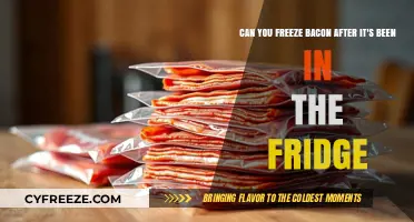 From Fridge to Freezer: The Ultimate Guide to Bacon Storage