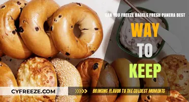 Fresh Panera Bagels: The Ultimate Freezing Guide for Peak Flavor