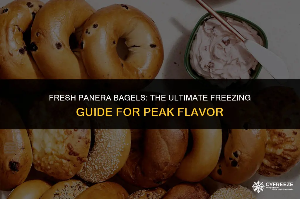can you freeze bagels fresh panera best way to keep