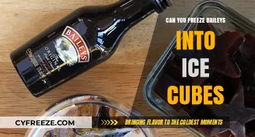 Chill Your Baileys: The Ultimate Guide to Freezing Irish Cream into Perfect Ice Cubes