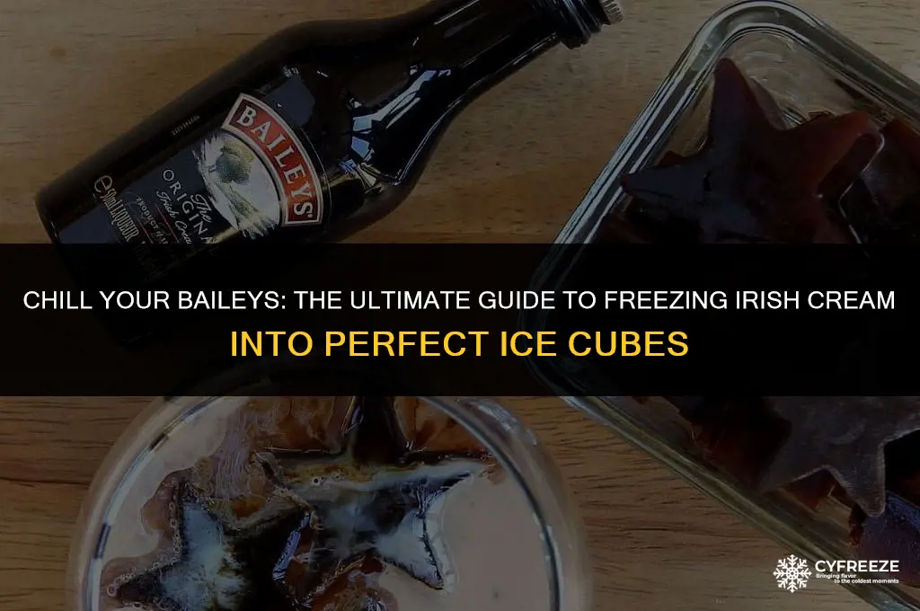 can you freeze baileys into ice cubes