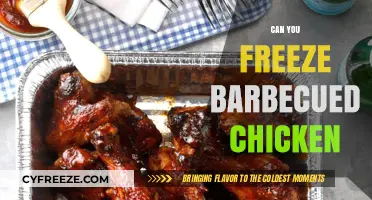 Savor the Flavor: Freezing Barbecued Chicken for Later Delights