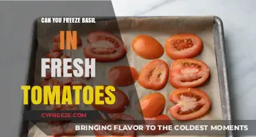 Preserving Flavor: Freezing Basil in Fresh Tomatoes