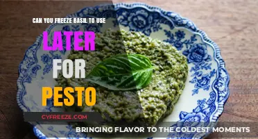 Freeze Basil for Pesto: A Simple Guide to Preserving Freshness