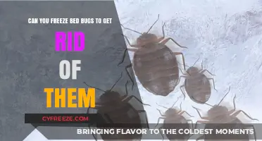 Freeze Bed Bugs: Effective Cold Treatment to Eliminate Infestations
