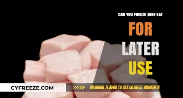 Freezing Beef Fat: A Guide to Preserving and Reusing It Later