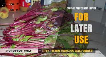 Freezing Beet Leaves: A Guide to Preserving Greens for Later Use