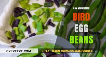 Freezing Bird Egg Beans: A Complete Guide to Preservation and Storage