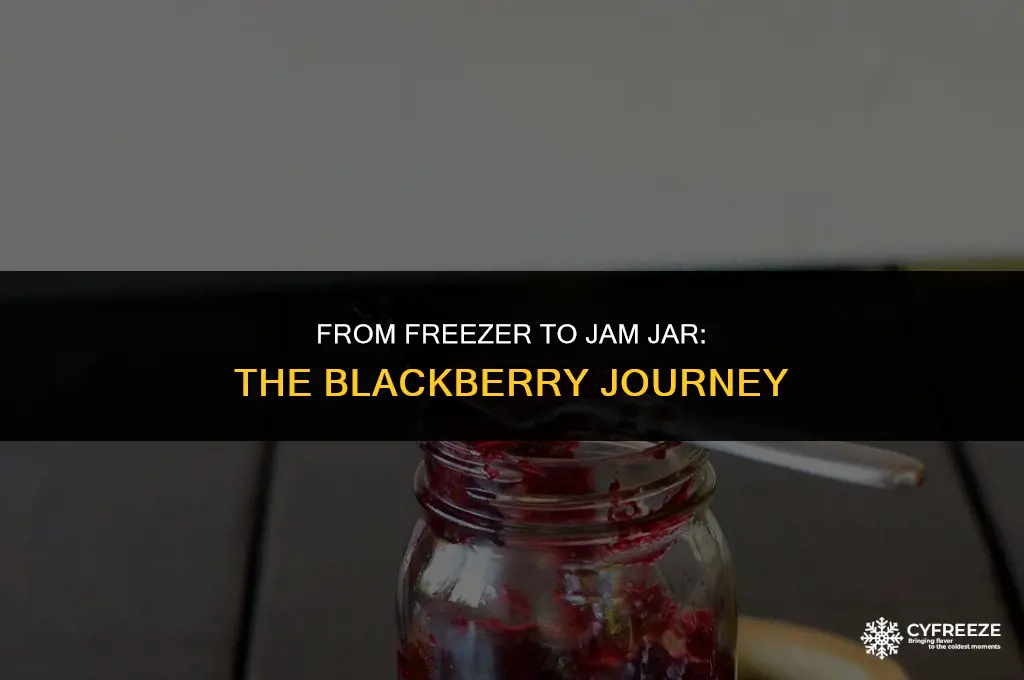 can you freeze blackberries and then make jam