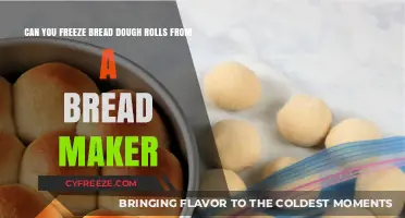 From Bread Maker to Freezer: The Ultimate Guide to Preserving Dough Rolls