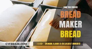 The Ultimate Guide to Freezing Bread Maker Bread for Freshness