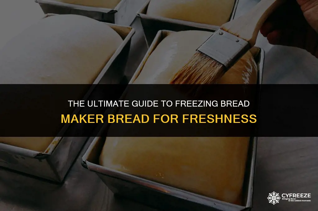can you freeze bread maker bread