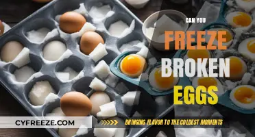 Can You Freeze Broken Eggs? A Quick Food Safety Guide