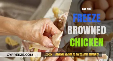 From Kitchen to Freezer: The Ultimate Guide to Freezing Browned Chicken