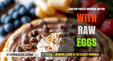 Freezing Brownie Batter with Raw Eggs: Tips and Safety Guide