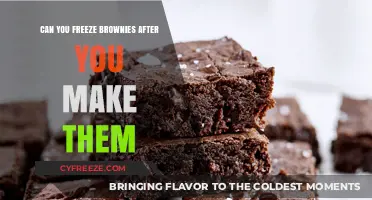 Preserve Your Brownie Bliss: A Guide to Freezing Homemade Brownies