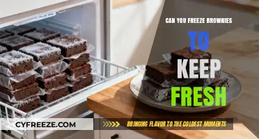 Preserve Your Brownie Bliss: A Guide to Freezing Freshness