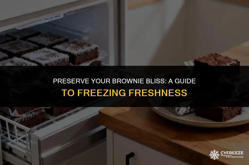 can you freeze brownies to keep fresh