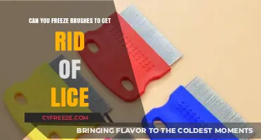 Freeze Brushes to Kill Lice? Uncovering the Truth Behind the Myth